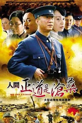 人间正道是沧桑 海报